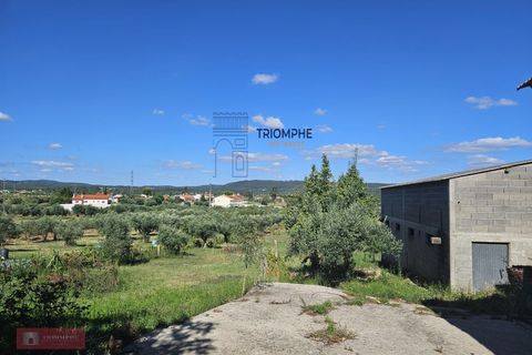Helårsgrund i Tomar, Santarem, Tomar - € 160.000 | Ref: TPH001-364 - foto 4