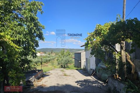 Helårsgrund i Tomar, Santarem, Tomar - € 160.000 | Ref: TPH001-364 - foto 6