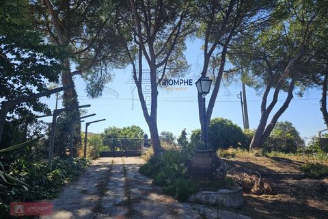 Helårsgrund i Tomar, Santarem, Tomar - € 160.000 | Ref: TPH001-364 - foto 7