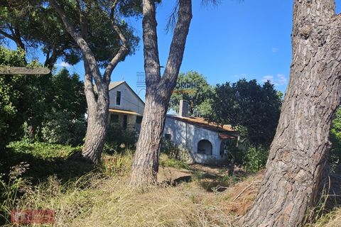 Helårsgrund i Tomar, Santarem, Tomar - € 160.000 | Ref: TPH001-364 - foto 9