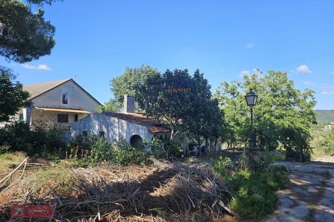 Helårsgrund i Tomar, Santarem, Tomar - € 160.000 | Ref: TPH001-364 - foto 10