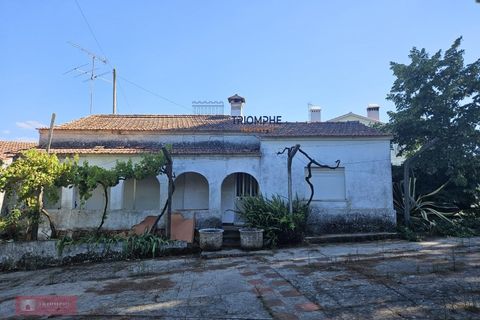 Helårsgrund i Tomar, Santarem, Tomar - € 160.000 | Ref: TPH001-364 - foto 12