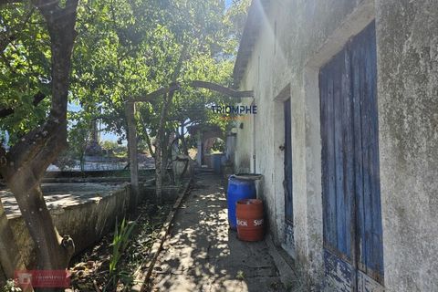 Helårsgrund i Tomar, Santarem, Tomar - € 160.000 | Ref: TPH001-364 - foto 13