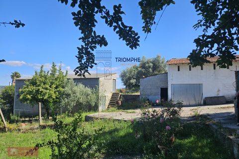 Helårsgrund i Tomar, Santarem, Tomar - € 160.000 | Ref: TPH001-364 - foto 15