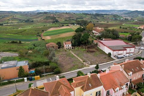 Helårsgrund i Torres Vedras, Lisbon, Torres Vedras - € 470.000 | Ref: C0444-00312 - foto 7