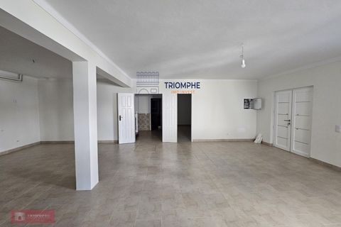 Villa i Tomar, Santarem, Tomar - € 525.000 | Ref: TPH103-421 - foto 27