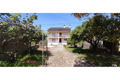 Villa i Colmeias, Leiria, Colmeias - € 320.000 | Ref: TPH233-13 - foto 3