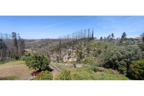 Villa i Colmeias, Leiria, Colmeias - € 320.000 | Ref: TPH233-13 - foto 33