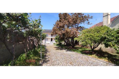 Villa i Colmeias, Leiria, Colmeias - € 320.000 | Ref: TPH233-13 - foto 34