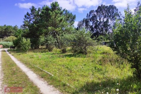 Villa i Pataias, Leiria, Pataias - € 285.000 | Ref: TPH211-36 - foto 16
