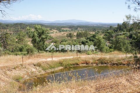 Helårsgrund i Castelo Branco, Castelo Branco, Castelo Branco - € 42.000 | Ref: PP4397 - foto 2