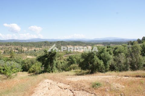 Helårsgrund i Castelo Branco, Castelo Branco, Castelo Branco - € 42.000 | Ref: PP4397 - foto 4