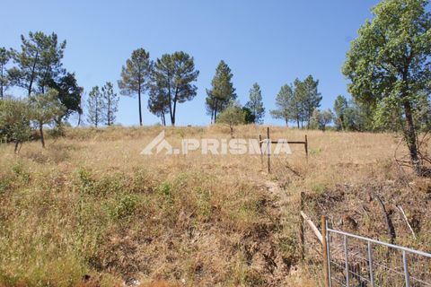Helårsgrund i Castelo Branco, Castelo Branco, Castelo Branco - € 42.000 | Ref: PP4397 - foto 8