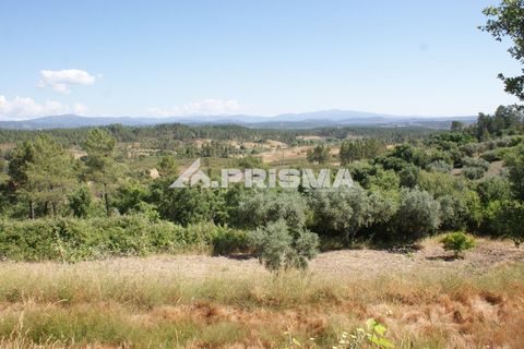 Helårsgrund i Castelo Branco, Castelo Branco, Castelo Branco - € 42.000 | Ref: PP4397 - foto 9