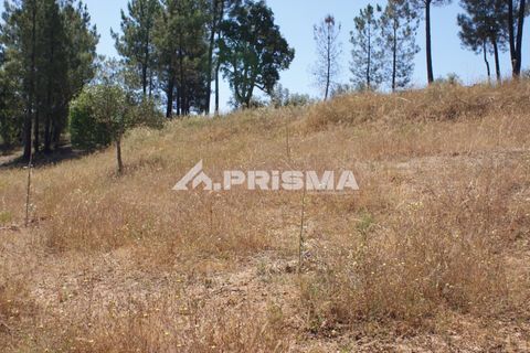 Helårsgrund i Castelo Branco, Castelo Branco, Castelo Branco - € 42.000 | Ref: PP4397 - foto 12