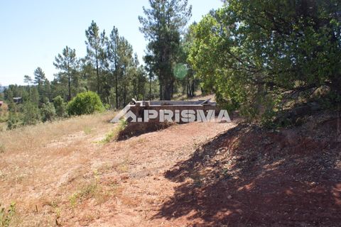 Helårsgrund i Castelo Branco, Castelo Branco, Castelo Branco - € 42.000 | Ref: PP4397 - foto 14