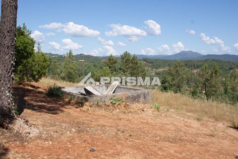 Helårsgrund i Castelo Branco, Castelo Branco, Castelo Branco - € 42.000 | Ref: PP4397 - foto 15