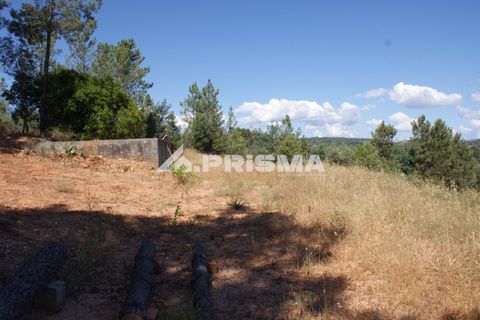 Helårsgrund i Castelo Branco, Castelo Branco, Castelo Branco - € 42.000 | Ref: PP4397 - foto 17