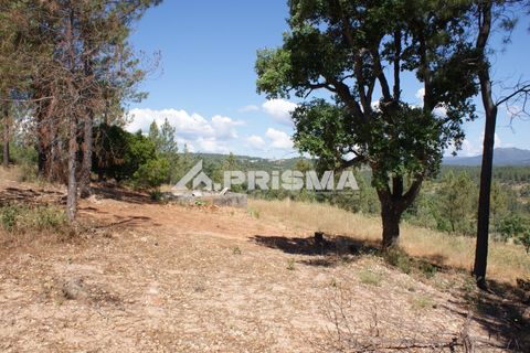 Helårsgrund i Castelo Branco, Castelo Branco, Castelo Branco - € 42.000 | Ref: PP4397 - foto 18