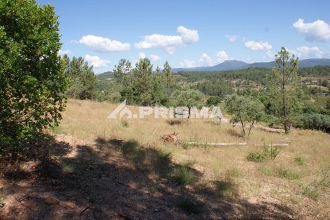 Helårsgrund i Castelo Branco, Castelo Branco, Castelo Branco - € 42.000 | Ref: PP4397 - foto 19