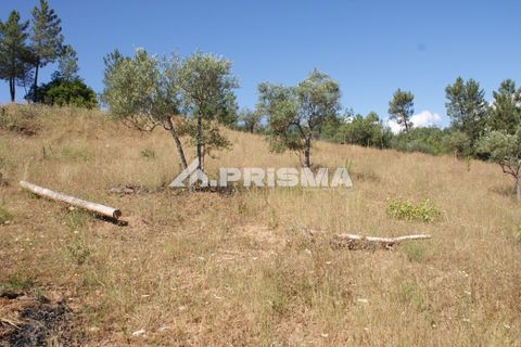 Helårsgrund i Castelo Branco, Castelo Branco, Castelo Branco - € 42.000 | Ref: PP4397 - foto 20