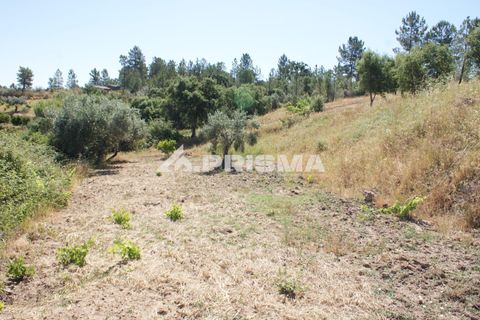 Helårsgrund i Castelo Branco, Castelo Branco, Castelo Branco - € 42.000 | Ref: PP4397 - foto 21