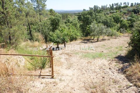 Helårsgrund i Castelo Branco, Castelo Branco, Castelo Branco - € 42.000 | Ref: PP4397 - foto 22