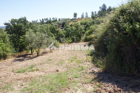 Helårsgrund i Castelo Branco, Castelo Branco, Castelo Branco - € 42.000 | Ref: PP4397 - foto 23