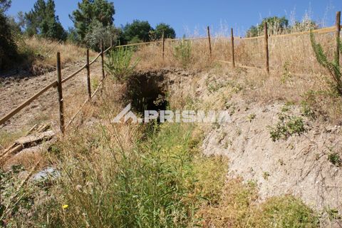 Helårsgrund i Castelo Branco, Castelo Branco, Castelo Branco - € 42.000 | Ref: PP4397 - foto 24