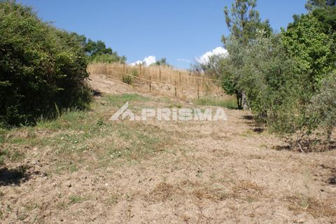 Helårsgrund i Castelo Branco, Castelo Branco, Castelo Branco - € 42.000 | Ref: PP4397 - foto 26