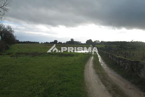 Helårsgrund i Castelo Branco, Castelo Branco, Castelo Branco - € 25.000 | Ref: PP4533 - foto 2