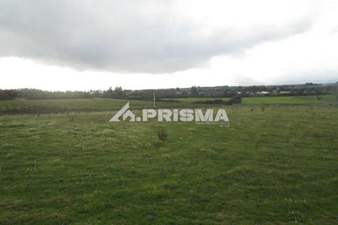 Helårsgrund i Castelo Branco, Castelo Branco, Castelo Branco - € 25.000 | Ref: PP4533 - foto 3