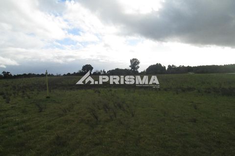 Helårsgrund i Castelo Branco, Castelo Branco, Castelo Branco - € 25.000 | Ref: PP4533 - foto 8