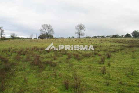 Helårsgrund i Castelo Branco, Castelo Branco, Castelo Branco - € 25.000 | Ref: PP4533 - foto 10