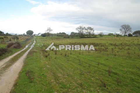 Helårsgrund i Castelo Branco, Castelo Branco, Castelo Branco - € 25.000 | Ref: PP4533 - foto 12