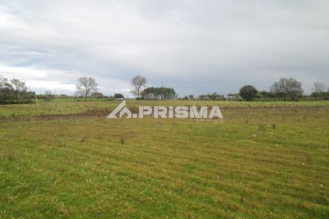 Helårsgrund i Castelo Branco, Castelo Branco, Castelo Branco - € 25.000 | Ref: PP4533 - foto 15