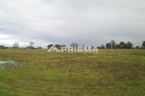 Helårsgrund i Castelo Branco, Castelo Branco, Castelo Branco - € 25.000 | Ref: PP4533 - foto 17