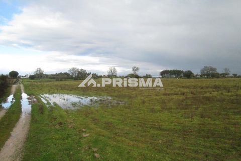 Helårsgrund i Castelo Branco, Castelo Branco, Castelo Branco - € 25.000 | Ref: PP4533 - foto 18