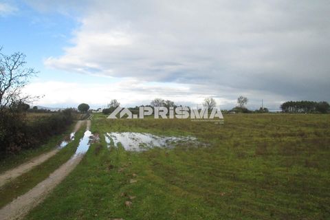 Helårsgrund i Castelo Branco, Castelo Branco, Castelo Branco - € 25.000 | Ref: PP4533 - foto 20