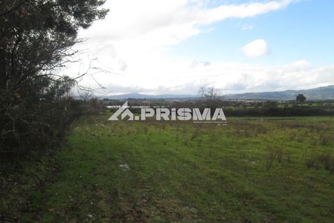 Helårsgrund i Castelo Branco, Castelo Branco, Castelo Branco - € 25.000 | Ref: PP4533 - foto 22