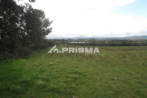Helårsgrund i Castelo Branco, Castelo Branco, Castelo Branco - € 25.000 | Ref: PP4533 - foto 25