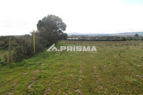 Helårsgrund i Castelo Branco, Castelo Branco, Castelo Branco - € 25.000 | Ref: PP4533 - foto 26