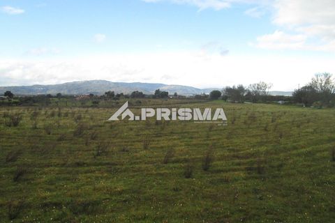 Helårsgrund i Castelo Branco, Castelo Branco, Castelo Branco - € 25.000 | Ref: PP4533 - foto 27