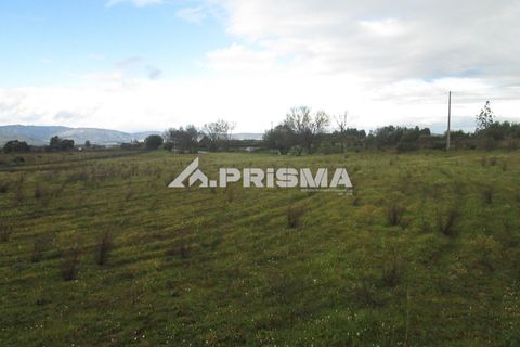 Helårsgrund i Castelo Branco, Castelo Branco, Castelo Branco - € 25.000 | Ref: PP4533 - foto 28