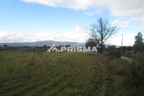 Helårsgrund i Castelo Branco, Castelo Branco, Castelo Branco - € 25.000 | Ref: PP4533 - foto 30