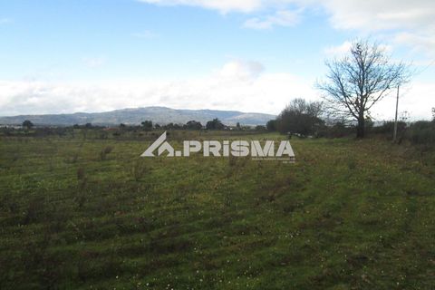 Helårsgrund i Castelo Branco, Castelo Branco, Castelo Branco - € 25.000 | Ref: PP4533 - foto 31