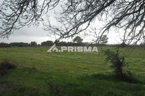 Helårsgrund i Castelo Branco, Castelo Branco, Castelo Branco - € 25.000 | Ref: PP4533 - foto 32