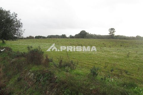 Helårsgrund i Castelo Branco, Castelo Branco, Castelo Branco - € 25.000 | Ref: PP4533 - foto 33