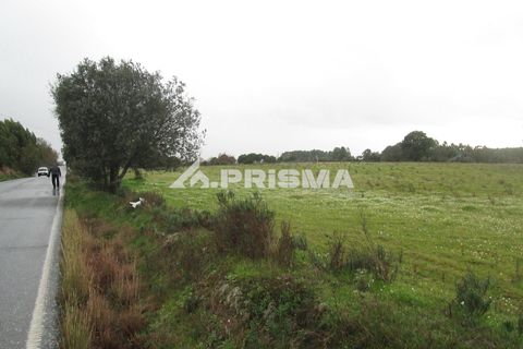 Helårsgrund i Castelo Branco, Castelo Branco, Castelo Branco - € 25.000 | Ref: PP4533 - foto 34