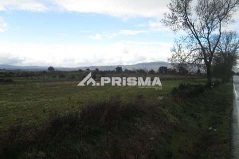 Helårsgrund i Castelo Branco, Castelo Branco, Castelo Branco - € 25.000 | Ref: PP4533 - foto 35